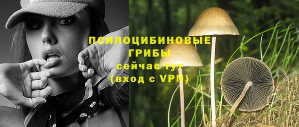 PSILOCYBIN Лабытнанги