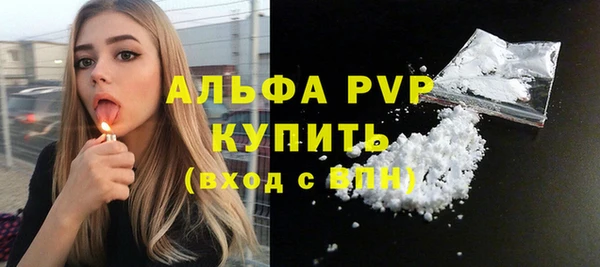 PSILOCYBIN Лабытнанги