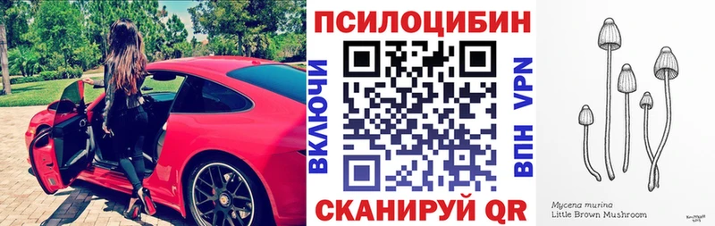даркнет сайт  Тырныауз  Псилоцибиновые грибы мицелий 